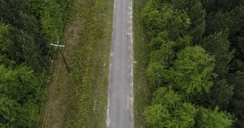 Descending below canopy level to reveal back road forest area drone aerial 4K Stock Footage 111362773