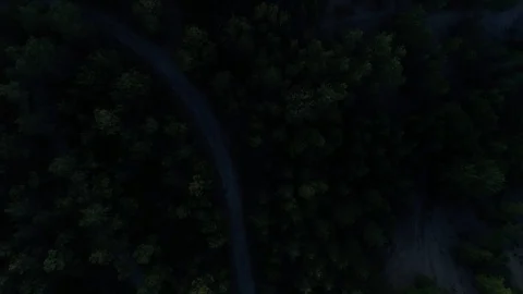 Descending down on dirt road in forest. Video stock 103352774