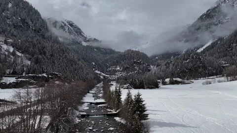 Descending Drone Flight Over Snowy River and Pine Forest in South Tyrol, Vídeo Stock 336545604