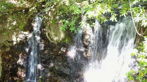 Descending the face of a waterfall at Lomas de Barbudal Biological Reserve Stock Footage 90924657