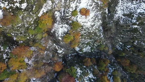 Descending flight over waterfall surrounded by trees with autumn leaves and  Stock Footage 166199576