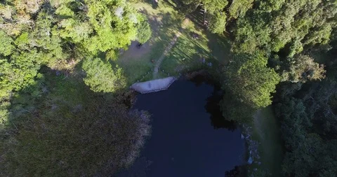 Descending into the forest Stock Footage 106880407