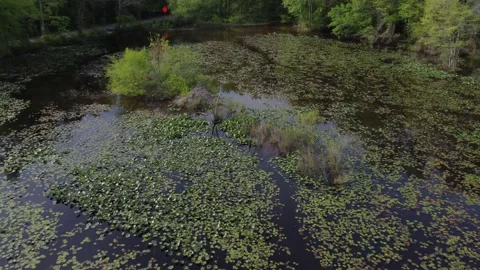 Descending glide slope to beaver dam then panning up to treeline Video stock 239071589