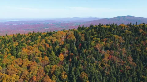 Descending left drone move with tilt over Mount Sutton and red autumn Stock Footage 318549658