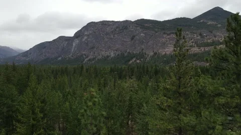 Descending mountains into the trees Stock Footage 145909537