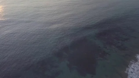 Descending to Ocean from Above 스톡 동영상 83899678