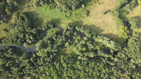 Descending over the Krushma river, forests and wildlife Stock Footage 254082959