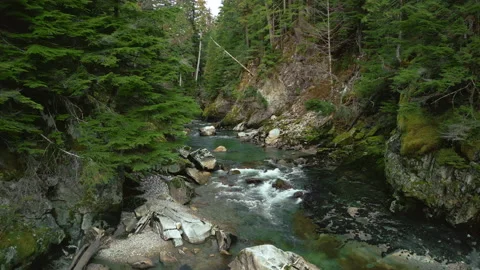 A descending pullback over a forest creek in northwestern BC Stock Footage 220897489