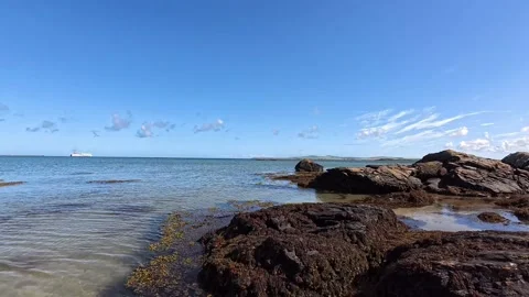 Descending to seaweed floating slow motion transparent paradise ocean tide on Video stock 339088768