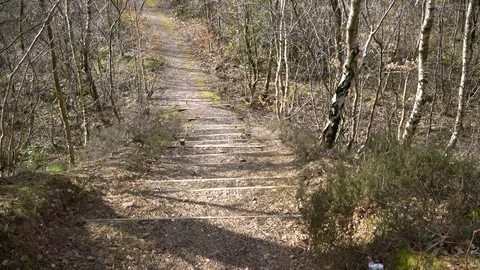 Descending steps in UK forest in Winter using a steady cam Stock Footage 86472310