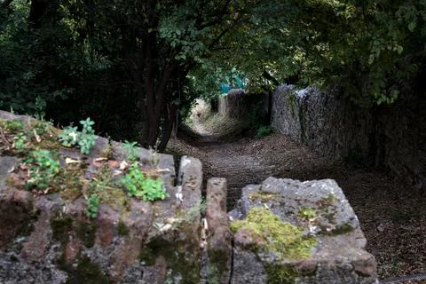 Descending stone staircase in a grove bordered by boundary stone walls Stock Photos