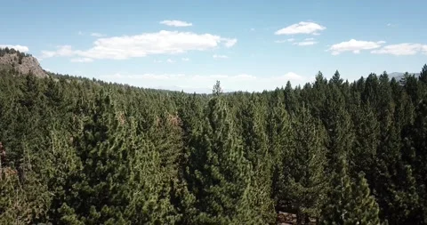 Descending Through Eastern Sierra Nevada Mountains Inyo National Forest Stock Footage 219581438