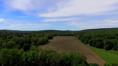 Descending View of a Cornfield Video stock 78249407