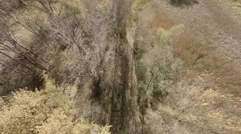 Descending in woods.mp4 Video stock 48332694