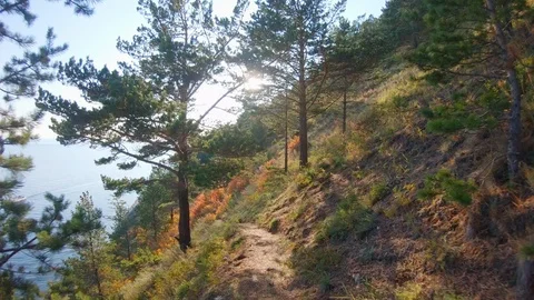 Descent along the path on the steep slope of the shore on sunny autumn day Stock Footage 124683677