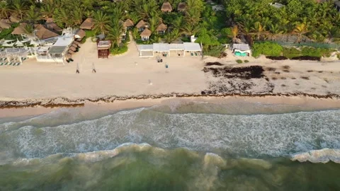 Descent to Coco Tulum: Embracing White Sands of Tulum, Mexico 動画素材 137428577