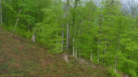 Descent from the high mountain by funicular Stock Footage 107976953