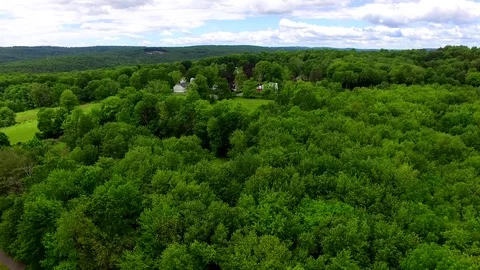 Descent With Lots of Trees Video stock 78519135