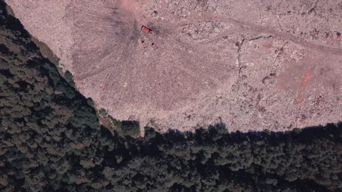 Descent over the landfill on the border with the forest, over which birds fly Stock Footage 138090111