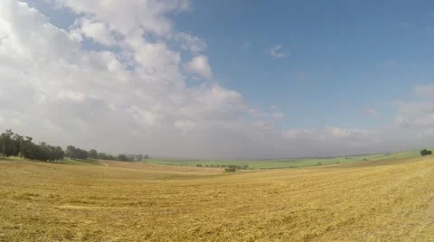 The descent over the meadow Stock Footage 50966739