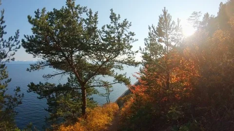 Descent on path of steep slope of sea shore on bright sunny autumn day Stock Footage 124263291