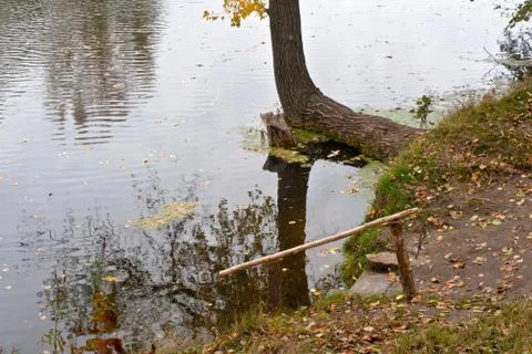 Descent to the river. Stock Photos