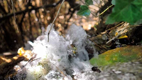 Descent of small spring that gives a creek in slow motion Stock Footage 124367098