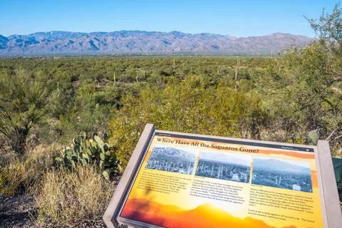 A description board on how the landscape changed in Saguaro NP, Arizona Stock Photos