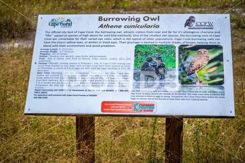 A description board pertaining to a specific animal in Manatee Park, Florida Stock Photos