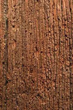 Description for over 100 years old wooden surface. Stock Photos
