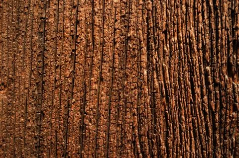 Description for over 100 years old wooden surface. Stock Photos