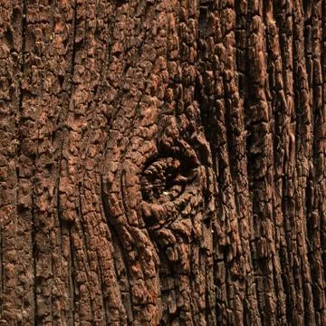 Description for over 100 years old wooden surface. Stock Photos