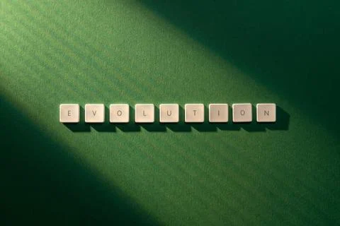 Description of the word Evolution with keyboard letters Stock Photos