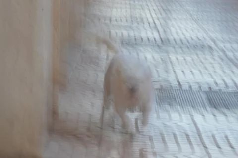 Desenfoque Stock Photos