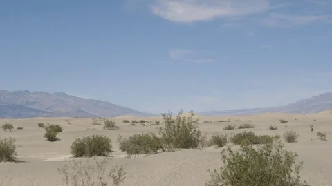 Deser pan 4 Stock Footage 80892954