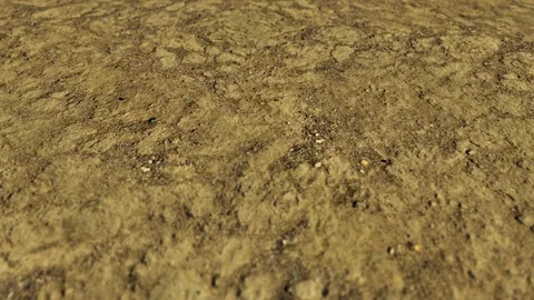 Desert 4k LOOP Stock Footage 95780235