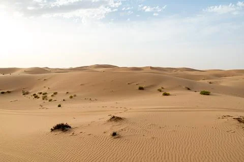 The desert of Abu Dhabi Stock Photos