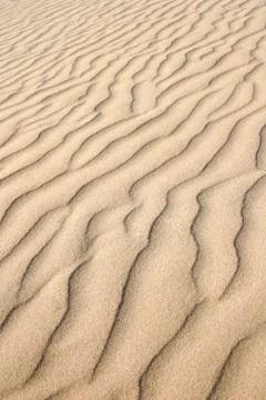 Desert adventure background Stock Photos