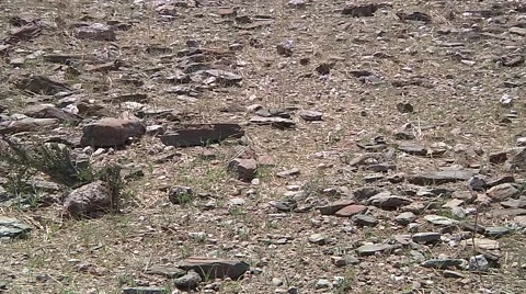 Desert in Africa Stock Footage 51328302