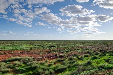 Desert after rain Foto stock