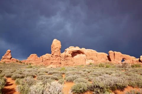 Desert after the storm Stock Photos
