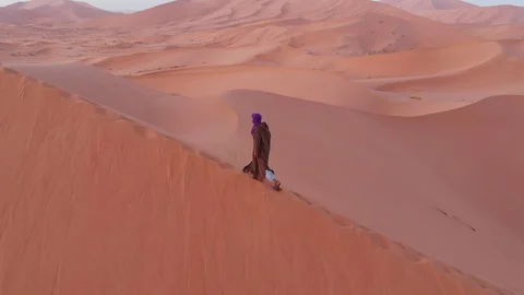 Desert Algeria Stock Footage