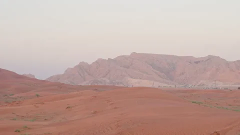 Desert and mountains in sunset time or sunrise, landscape of wilderness in Stock Footage 263379253