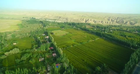 Desert and Oasis Stock-Footage 174493957