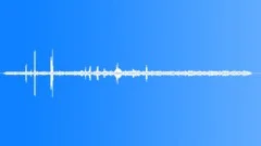 Desert Atmosphere Md BirdsongSound Effect