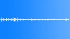 Desert Atmosphere Md BirdsongSound Effect