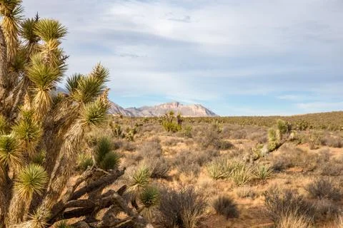 Desert Background with Copy Space Stock Photos