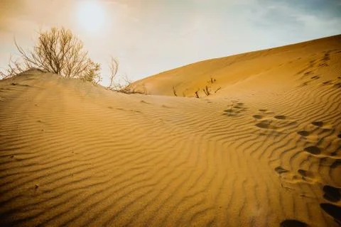 Desert Background Landscape Foto stock