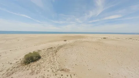 Desert beach 스톡 동영상 157999295