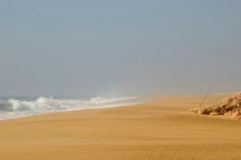 Desert beach Stock Photos